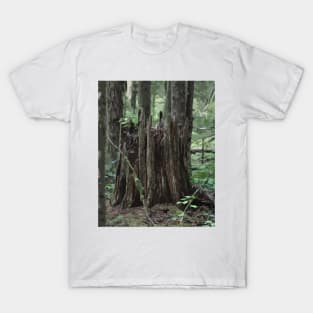 Stump In The Forest T-Shirt